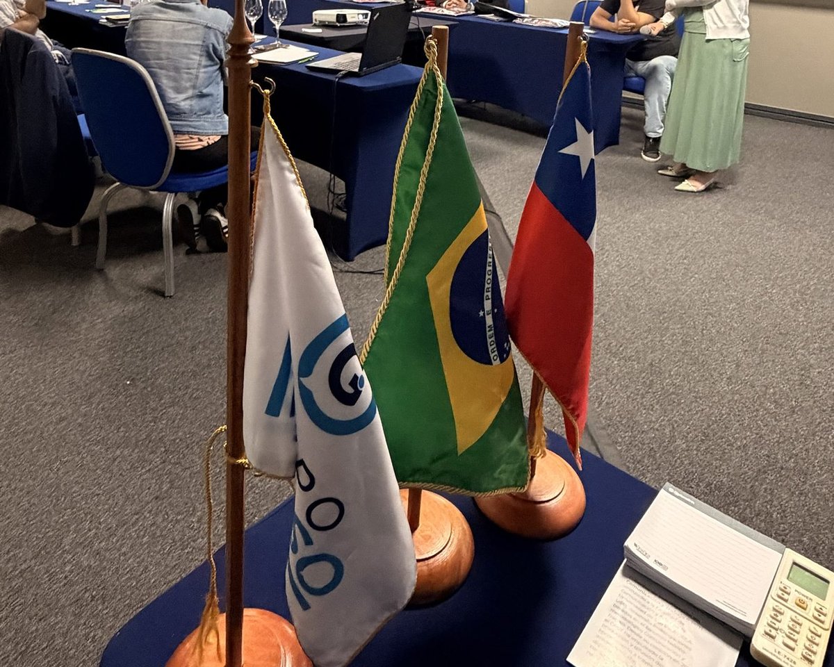 Banderas de Grupo Impulso, Brasil y Chile frente a una sala de trabajo durante el XX Seminario Internacional en São Paulo