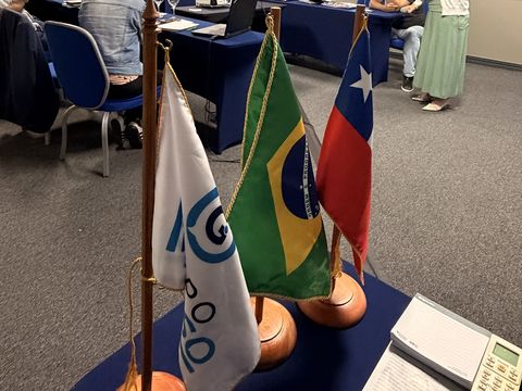 Banderas de Grupo Impulso, Brasil y Chile en la sala del seminario