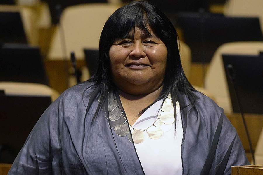 Diputada Emilia Nuyado: “soy una voz del pueblo mapuche en esta instancia”